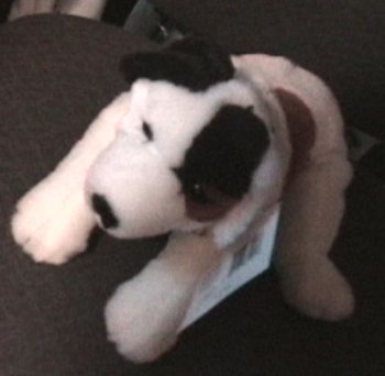 Patty's picture of me on eBay.