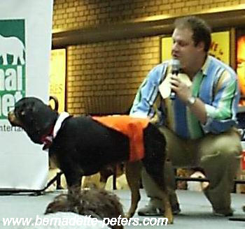 BBarks 6 - 27, Width: 350, Height: 328, Size: 23KB